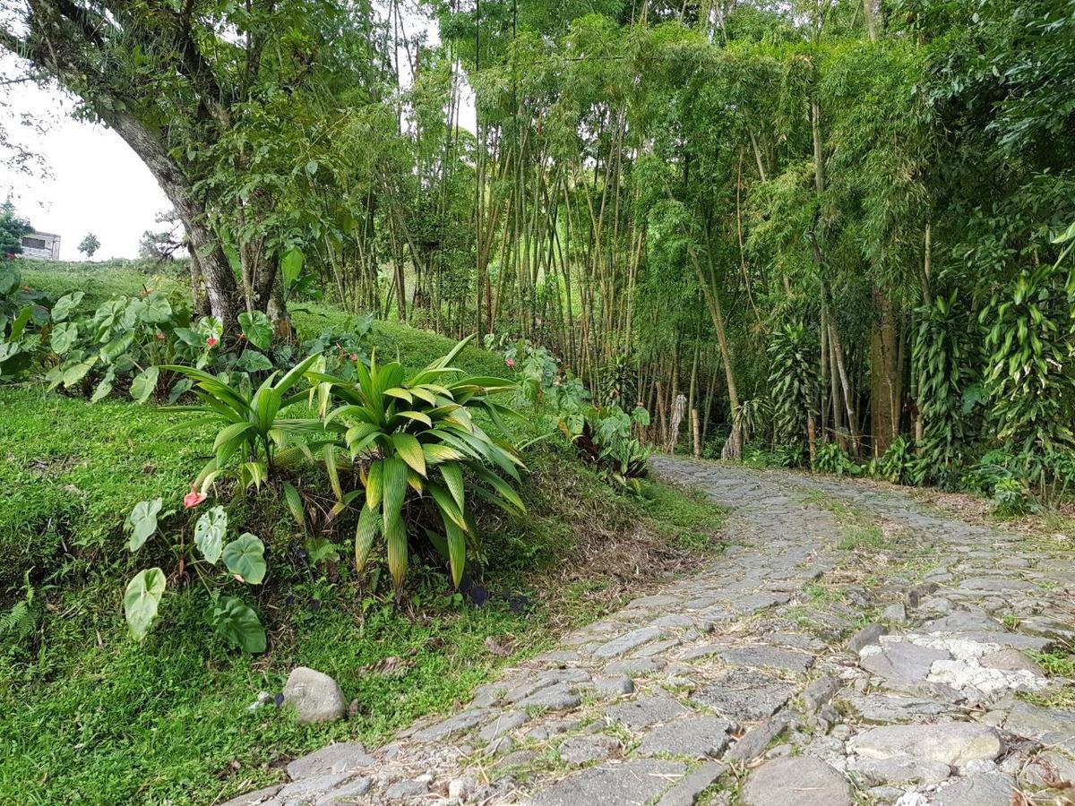 Lodge Paraiso Verde La Linda Kültér fotó