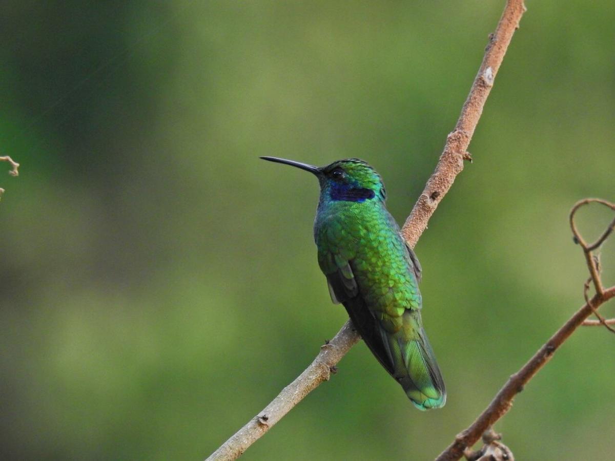 Lodge Paraiso Verde La Linda Kültér fotó